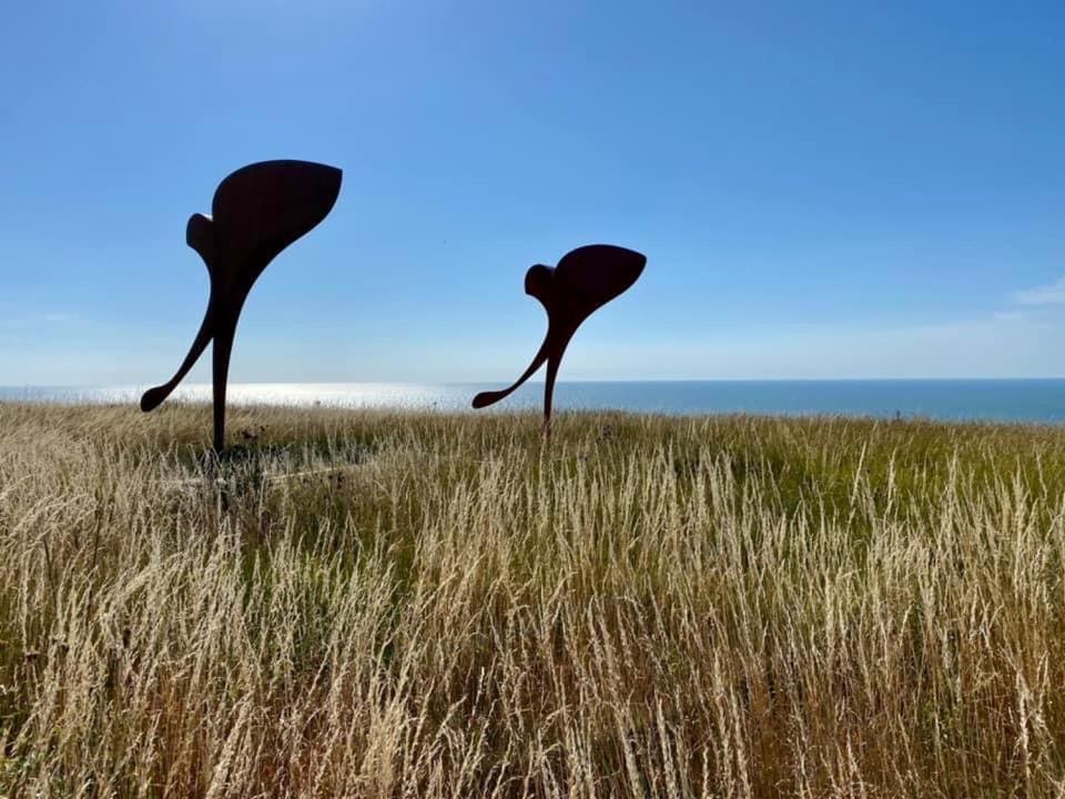 Plage à 50m Appartement Rêves ensoleillés Villa Les Bains de Mers Exterior foto
